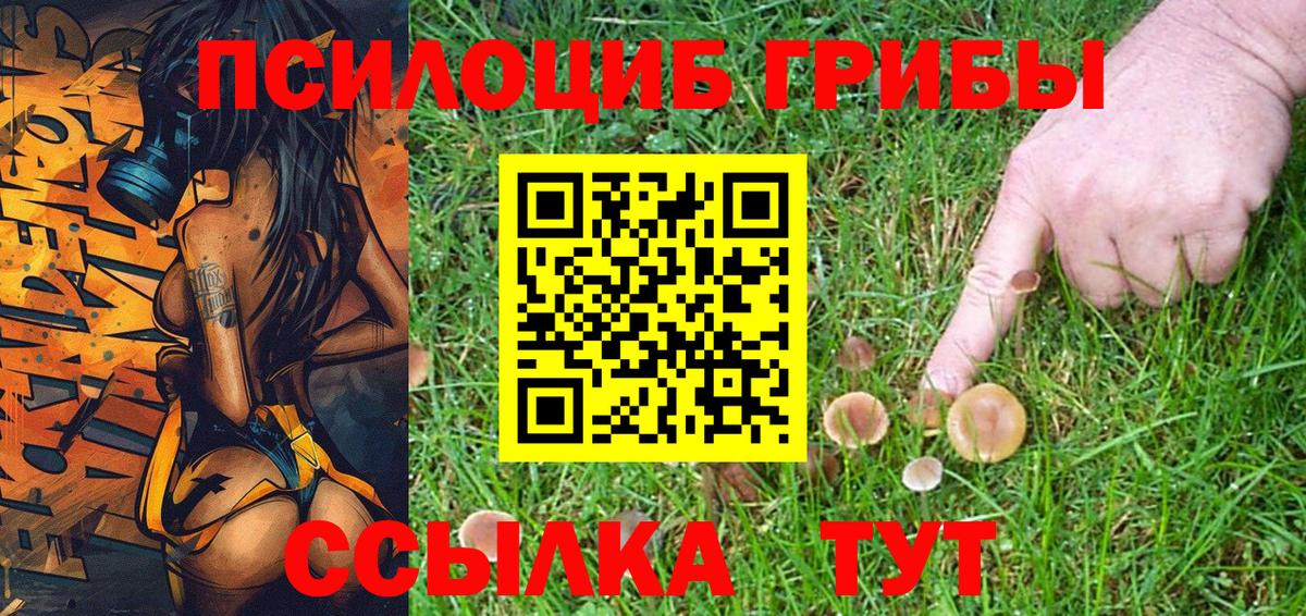 Чернушка  Псилоцибиновые грибы мухоморы  Вход с VPN 