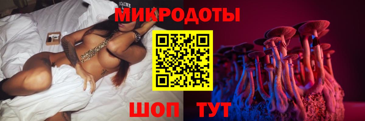 Псилоцибиновые грибы Psilocybe Чернушка